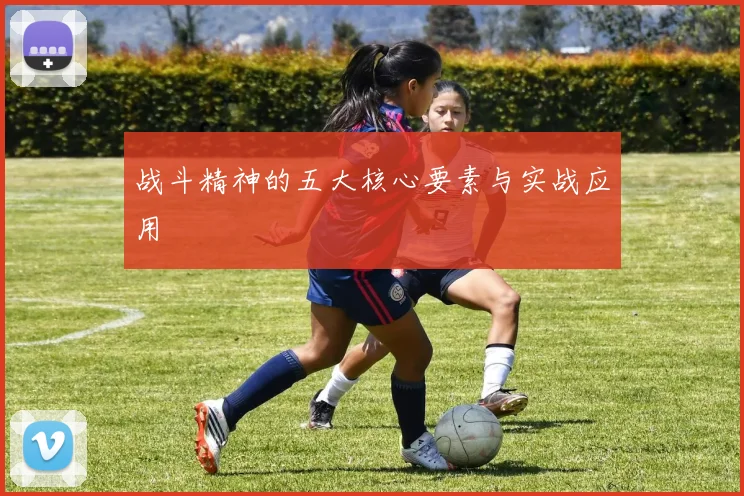 战斗精神的五大核心要素与实战应用